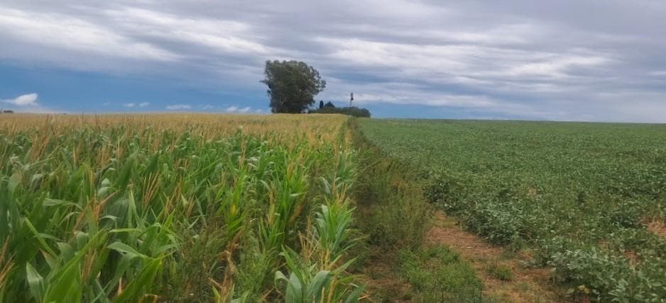 Campo en Venta de 76 has en Baradero - 1