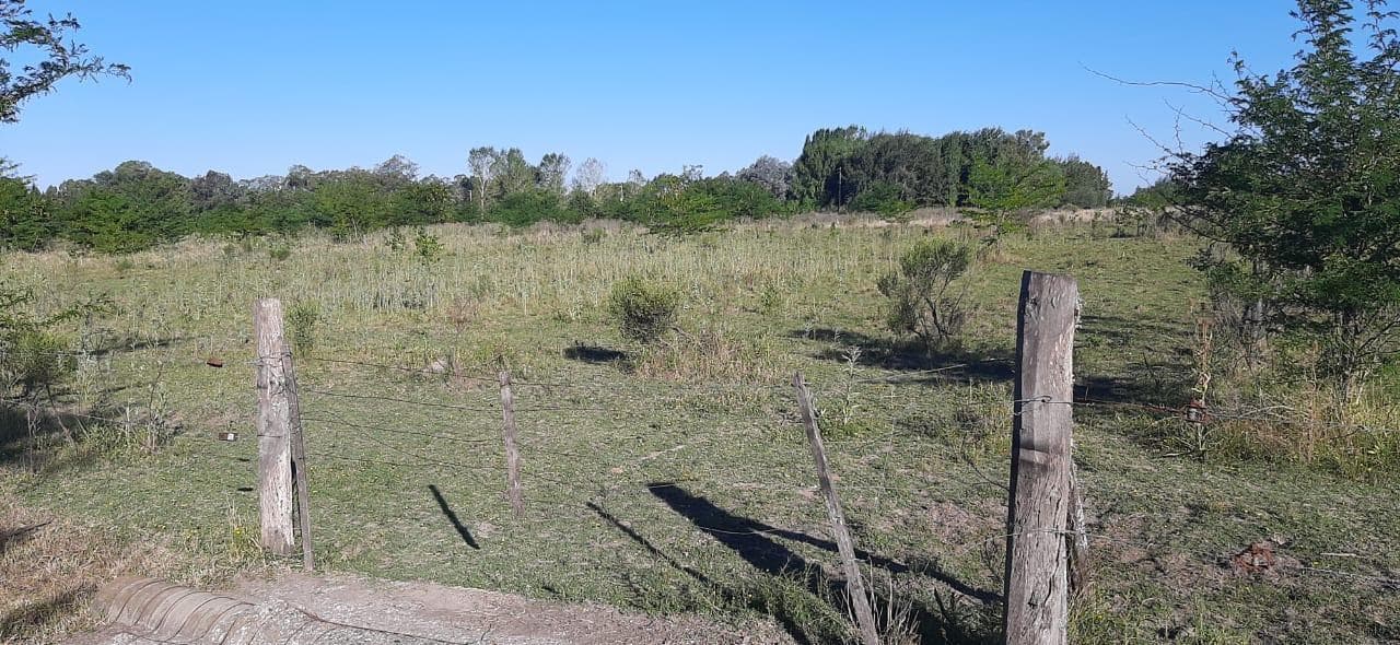 Terreno en venta en Presidente Perón - 1