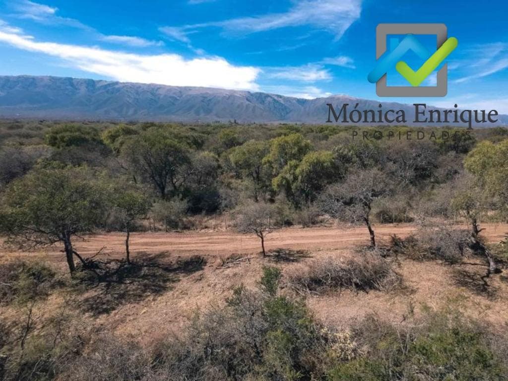 Venta de Lote en Los Molles de 1000m2 - 1