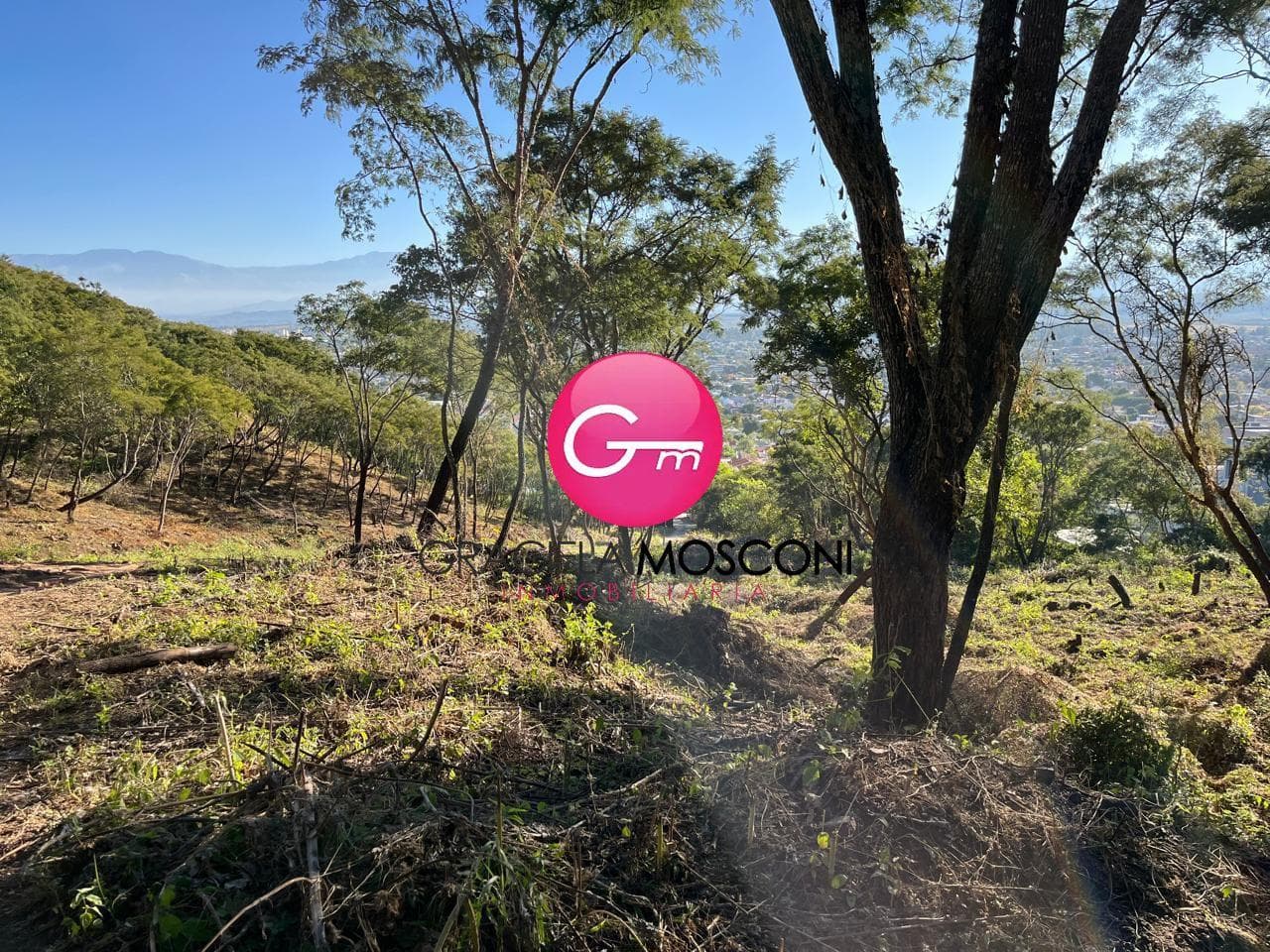 Terreno en Capital - 1