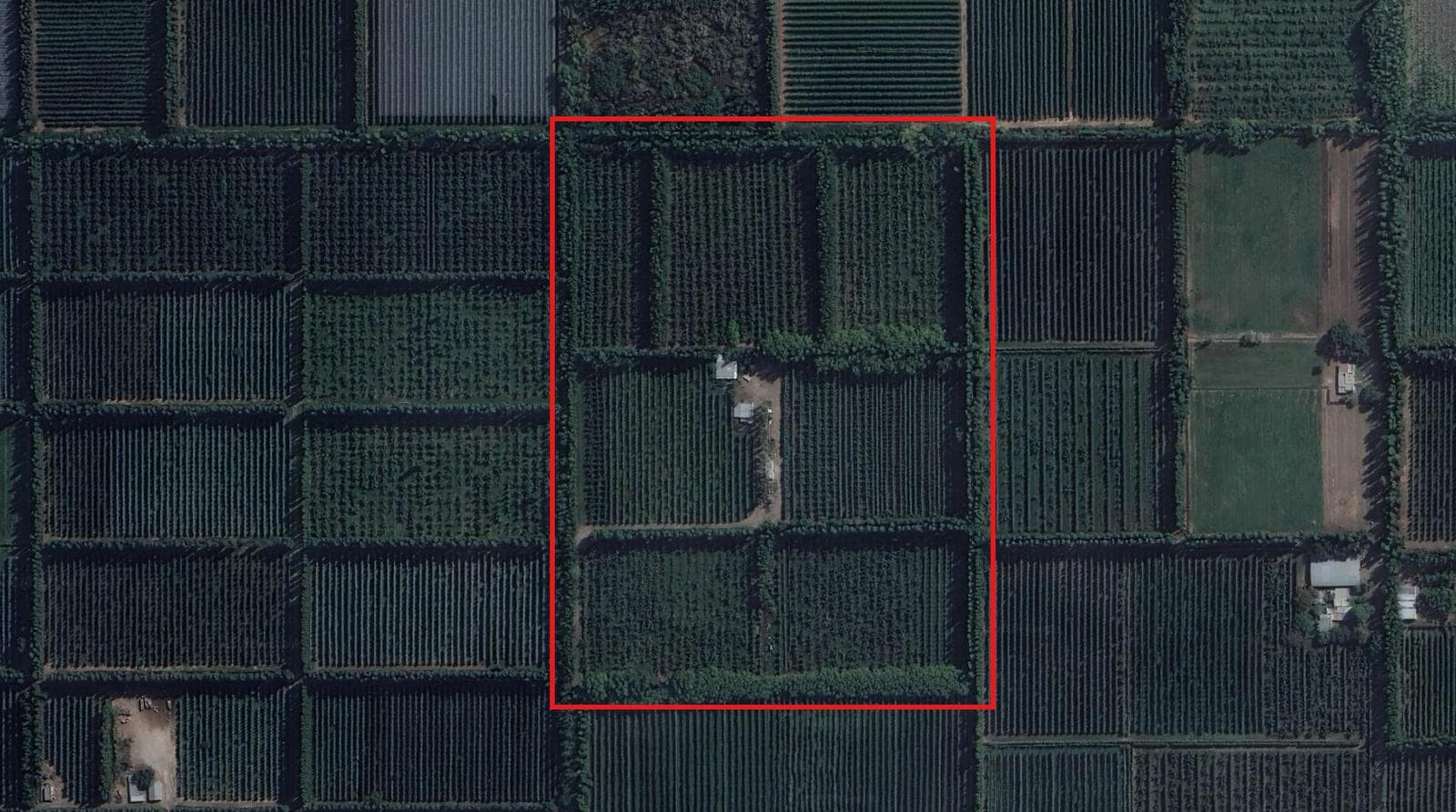 Chacra en Cipolletti - 1