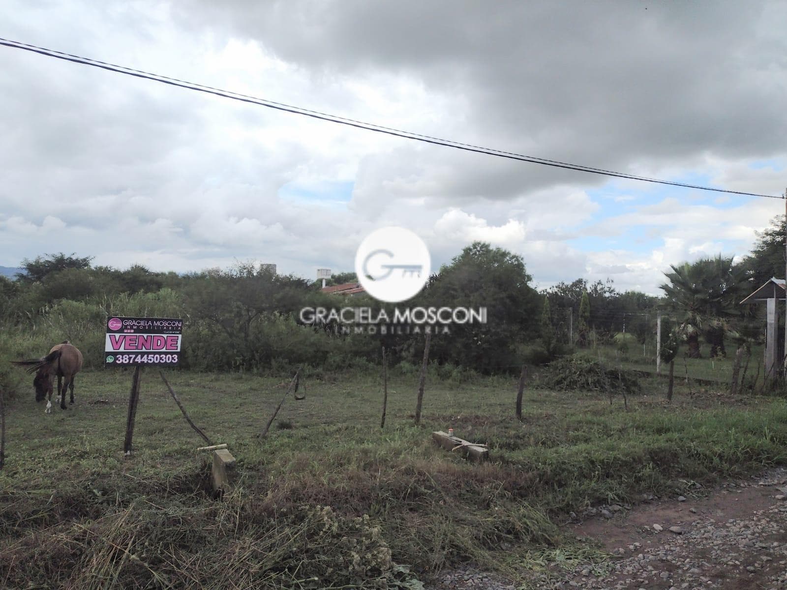 Terreno en Cerrillos - 1