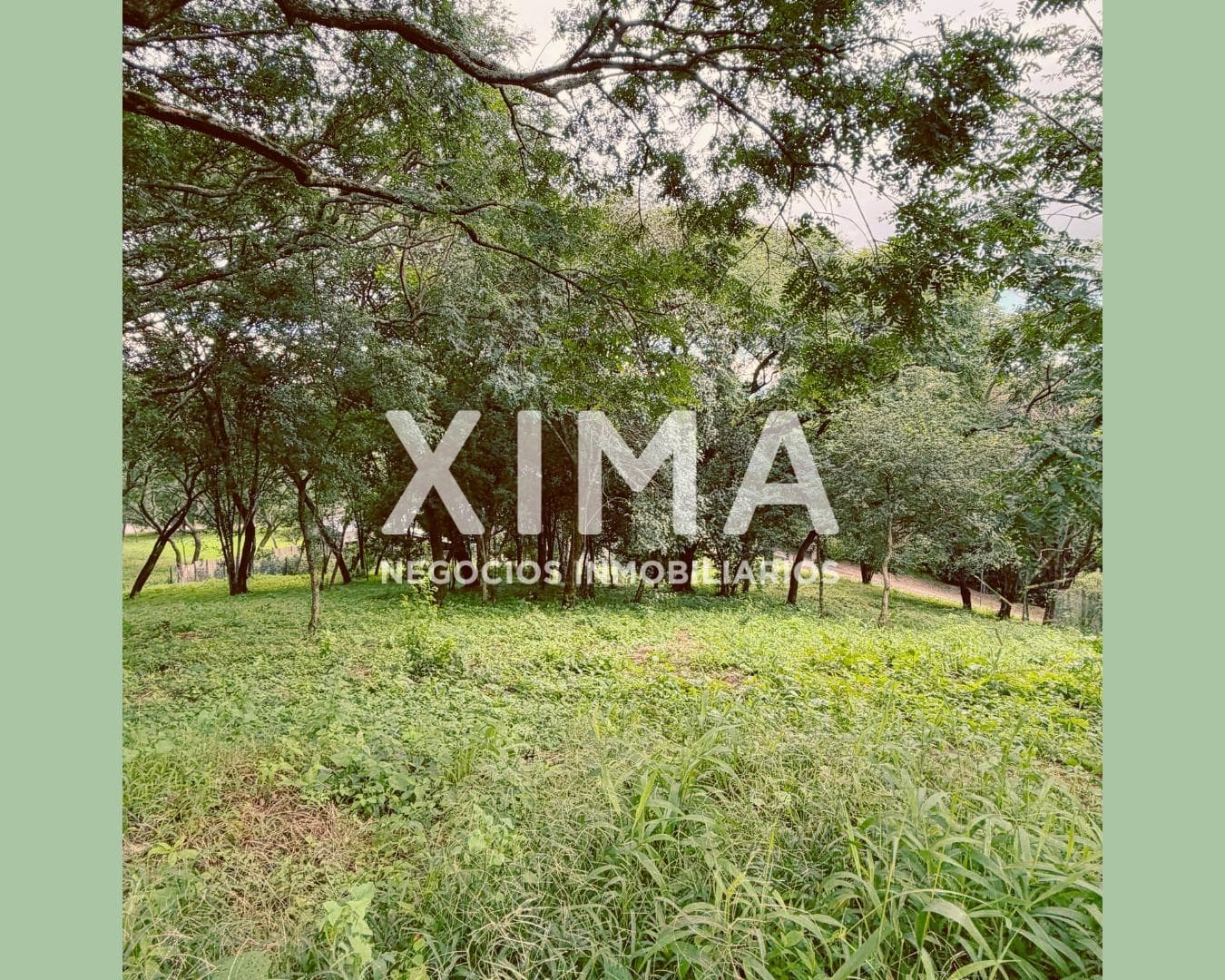 Terreno en Quebrada de los Nogales - 1