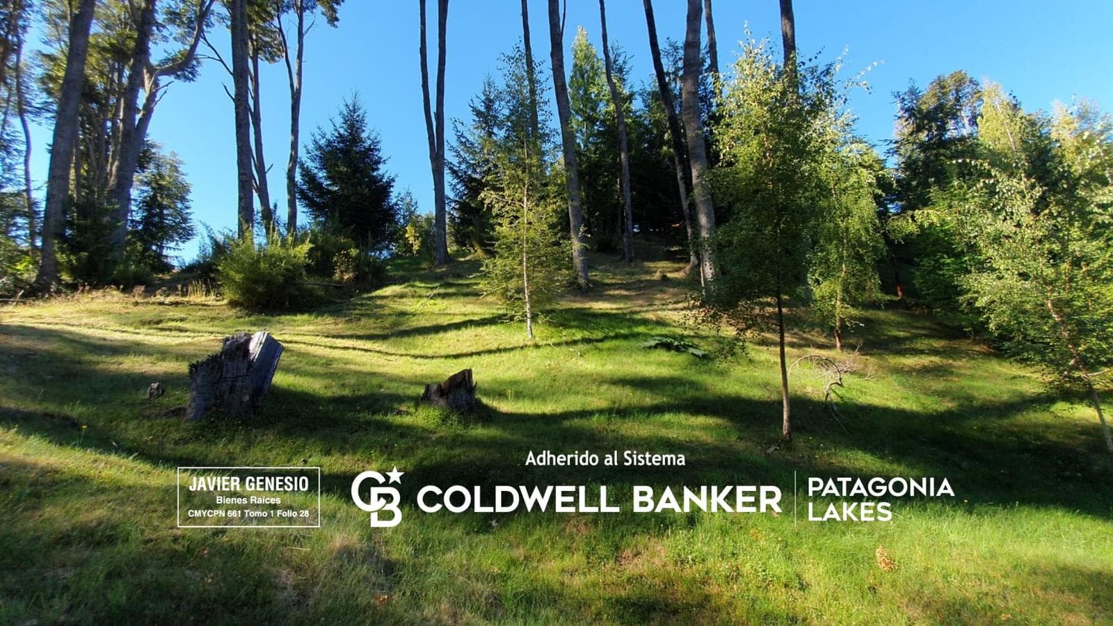 VENTA - Lote 2.300m2 en barrio Caren Hue, Villa la angostura - 1