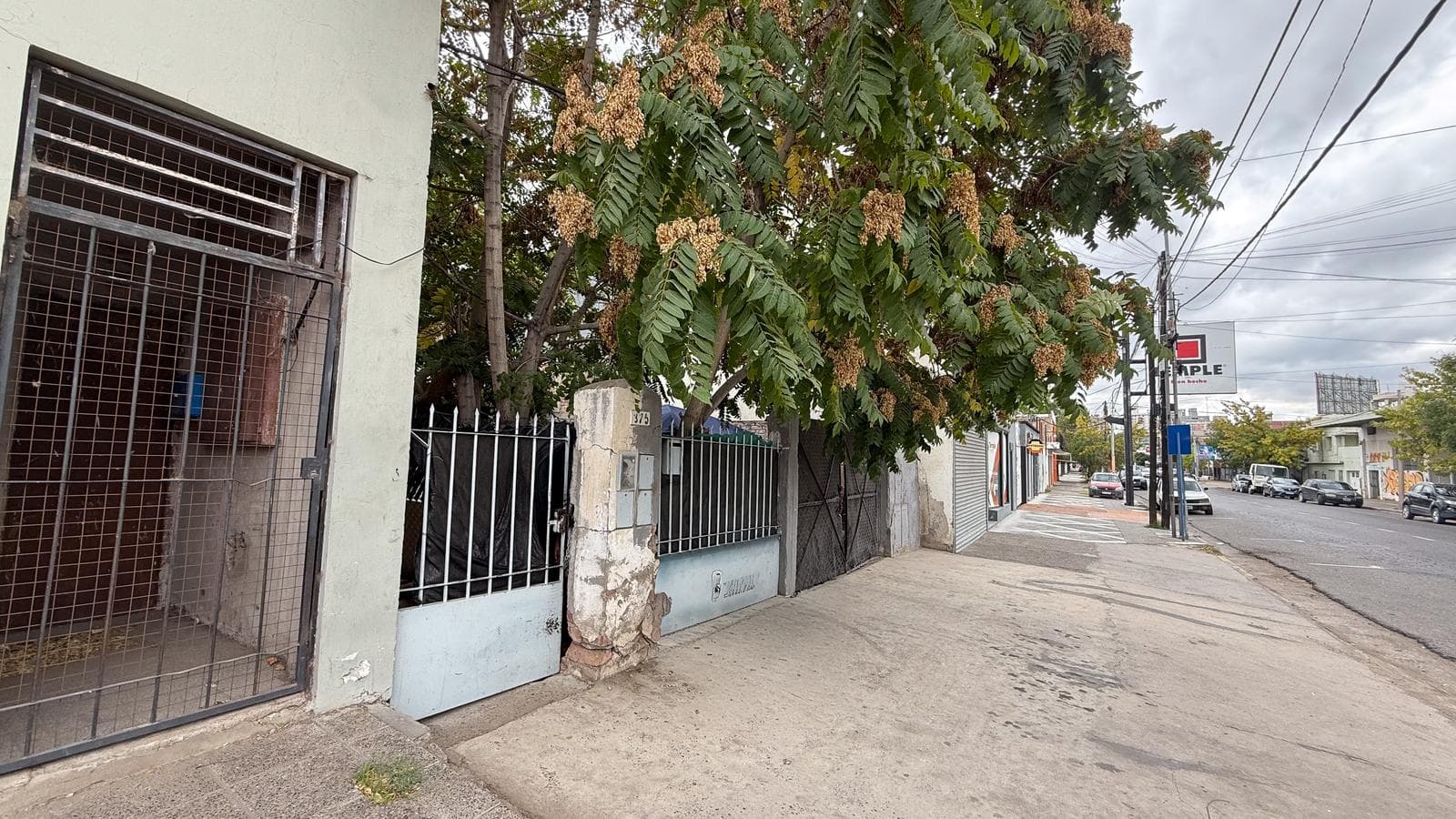 En Venta | Lote de 322 m2 | Apto Desarrollo | Leguizamon 375 | Neuquén - 1