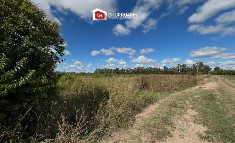 Campo en venta 3 has en San Pedro - 1