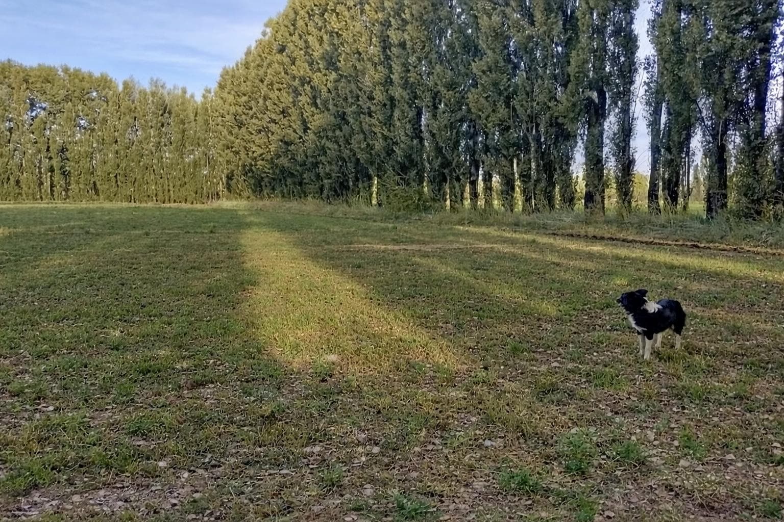 CHACRA DE 10HA EN VENTA EN SENILLOSA - 1