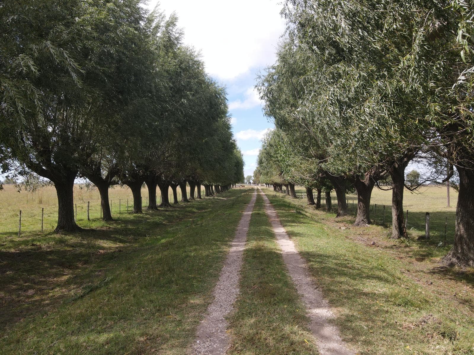 Campo Mixto en venta de 227 has en Ranchos - 1