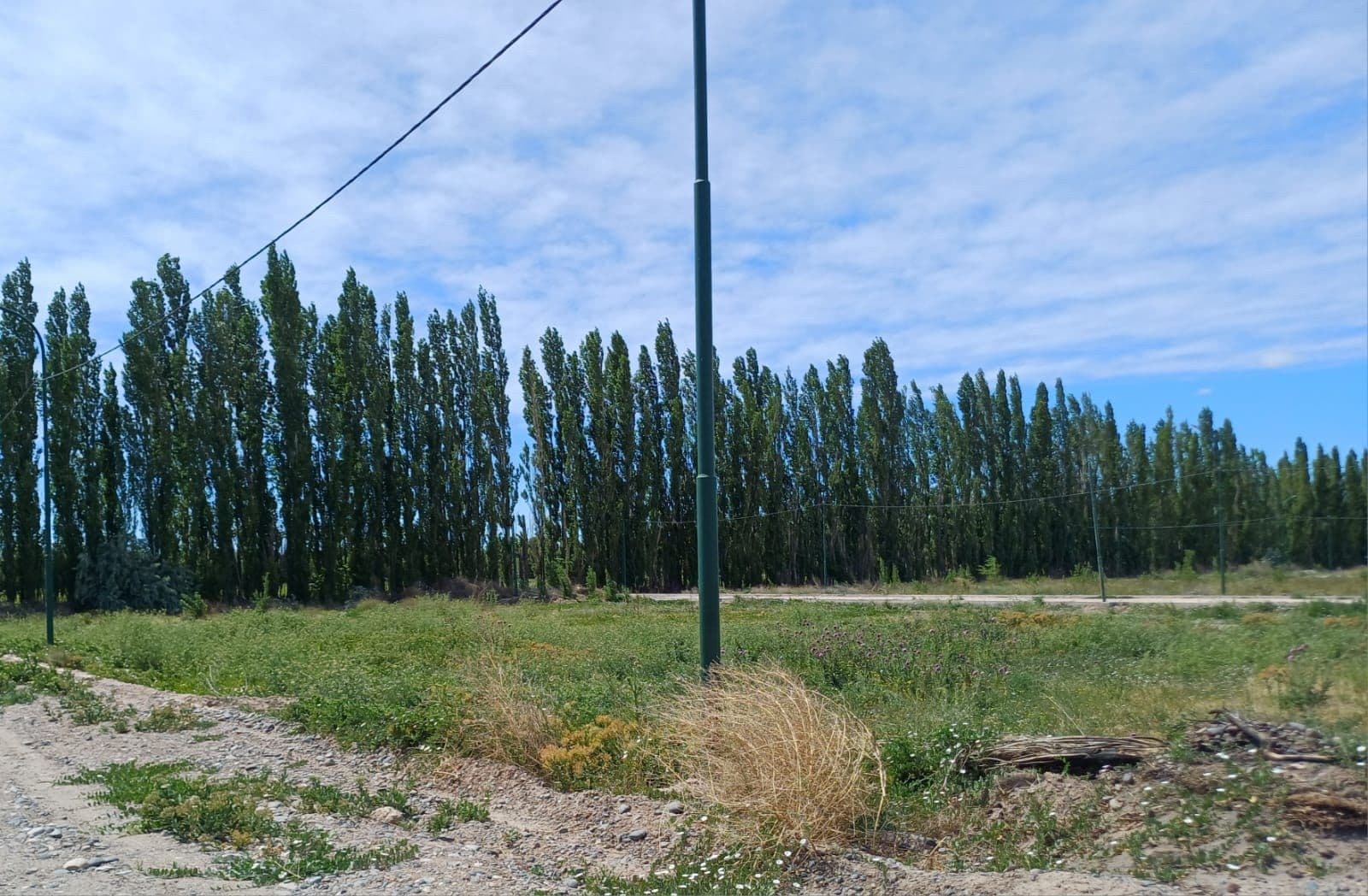 Terreno - General Fernandez Oro - 1