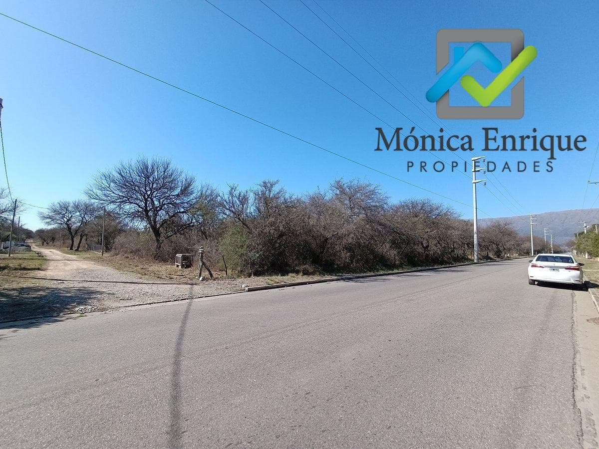 Venta de Terreno en Carpinteria San Luis - 1