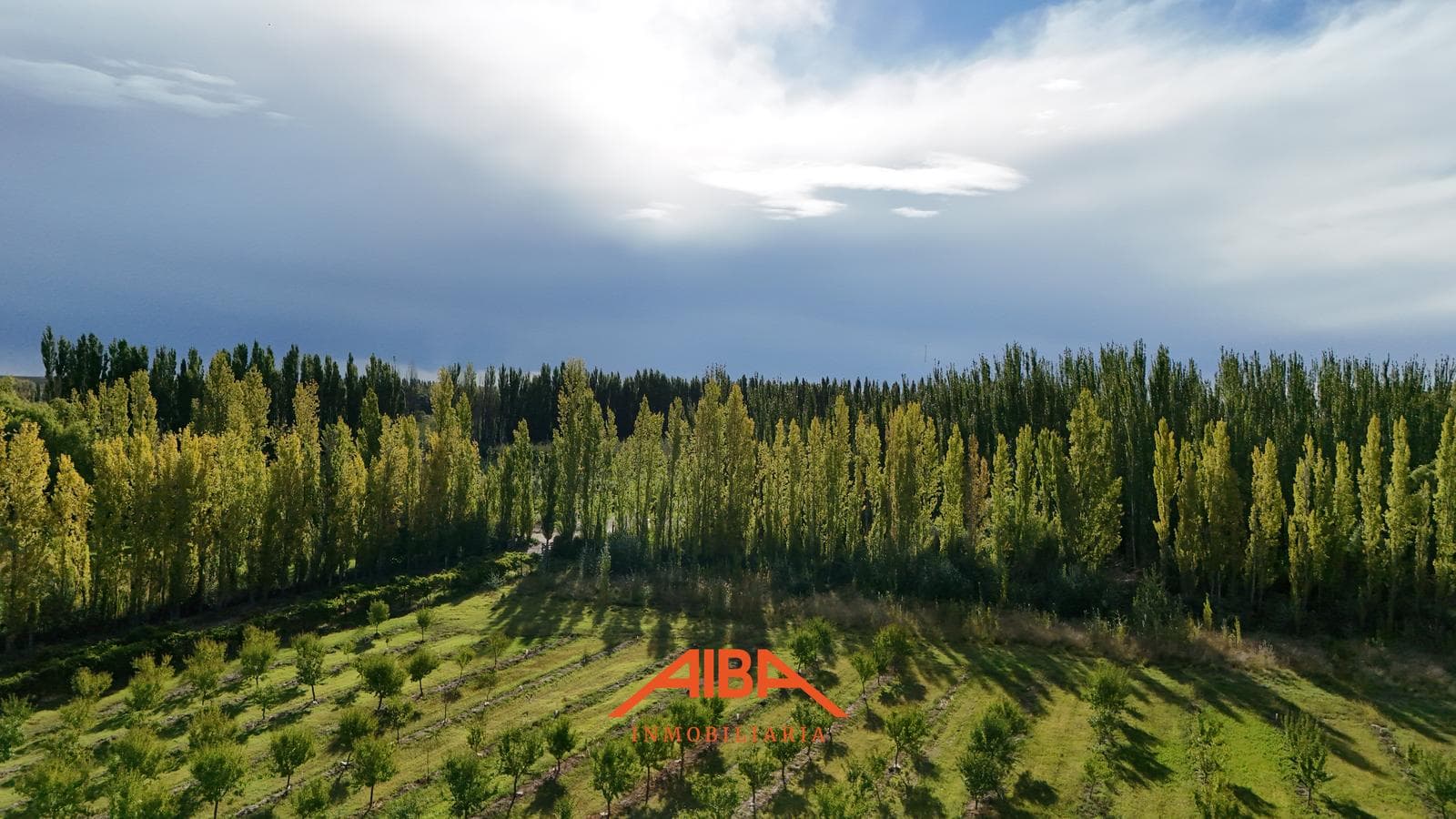 Vende 7 has en producción en Vista Alegre - 1