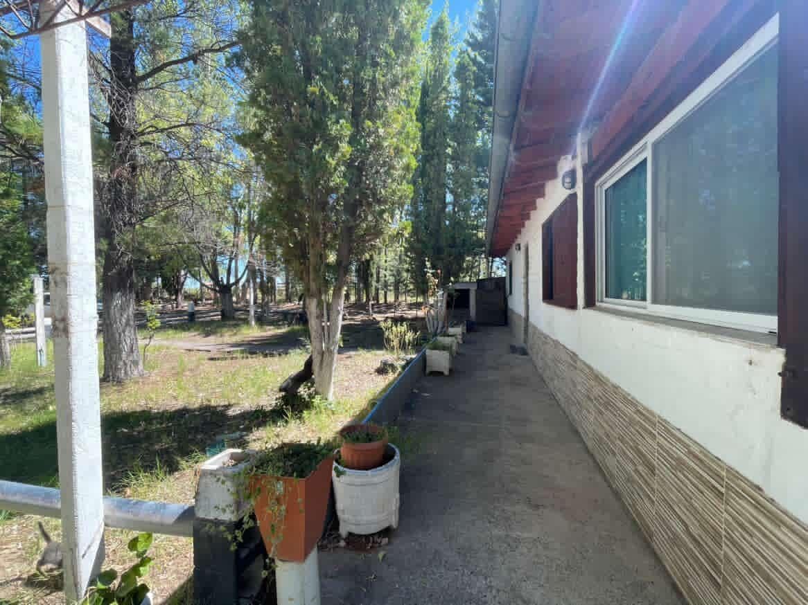 Venta Chacra con casa y quincho - Colonia San Francisco, Plottier - 1