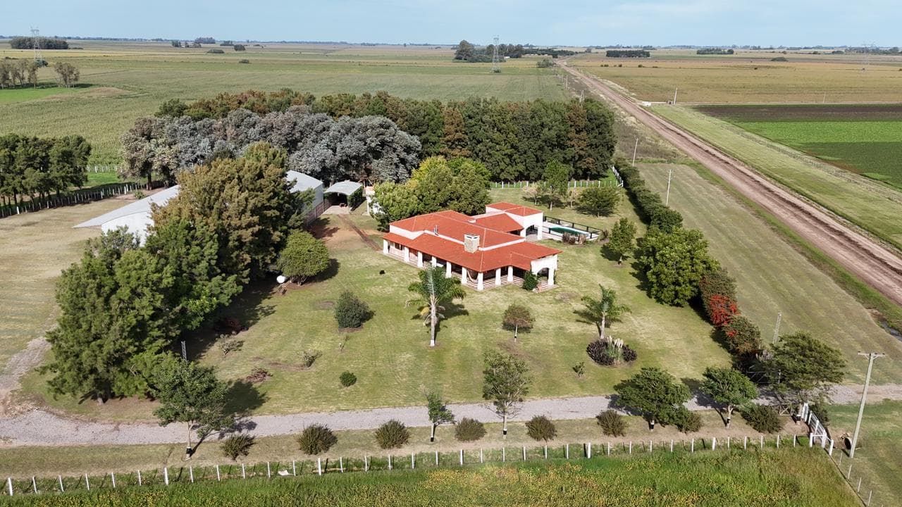 CAMPO EN VENTA - 84 HECTAREAS - AGRICOLAS CON MEJORAS - 1