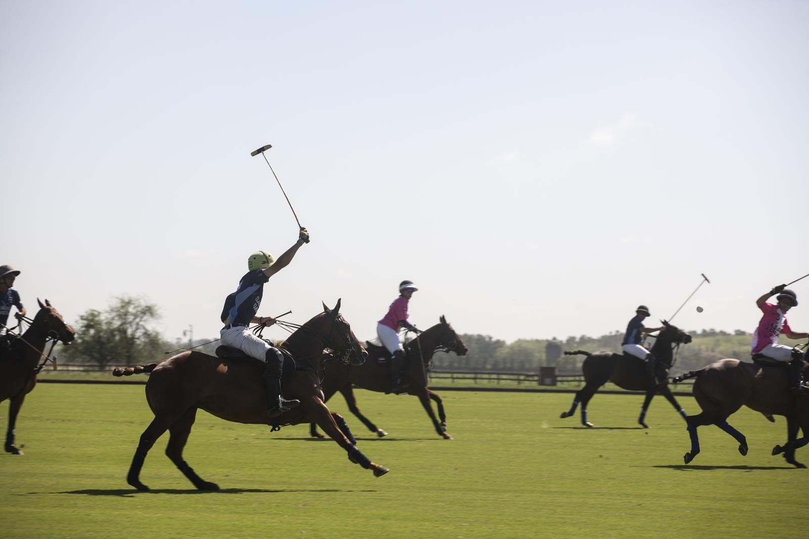 Terreno en La Dolfina Polo Ranch - PG - 1
