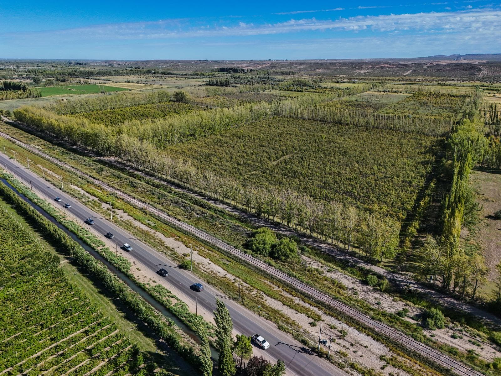 Venta Lote 300 m2 - Loteo Jardín de Mercedes - Sobre ruta 65 - Allen - 1