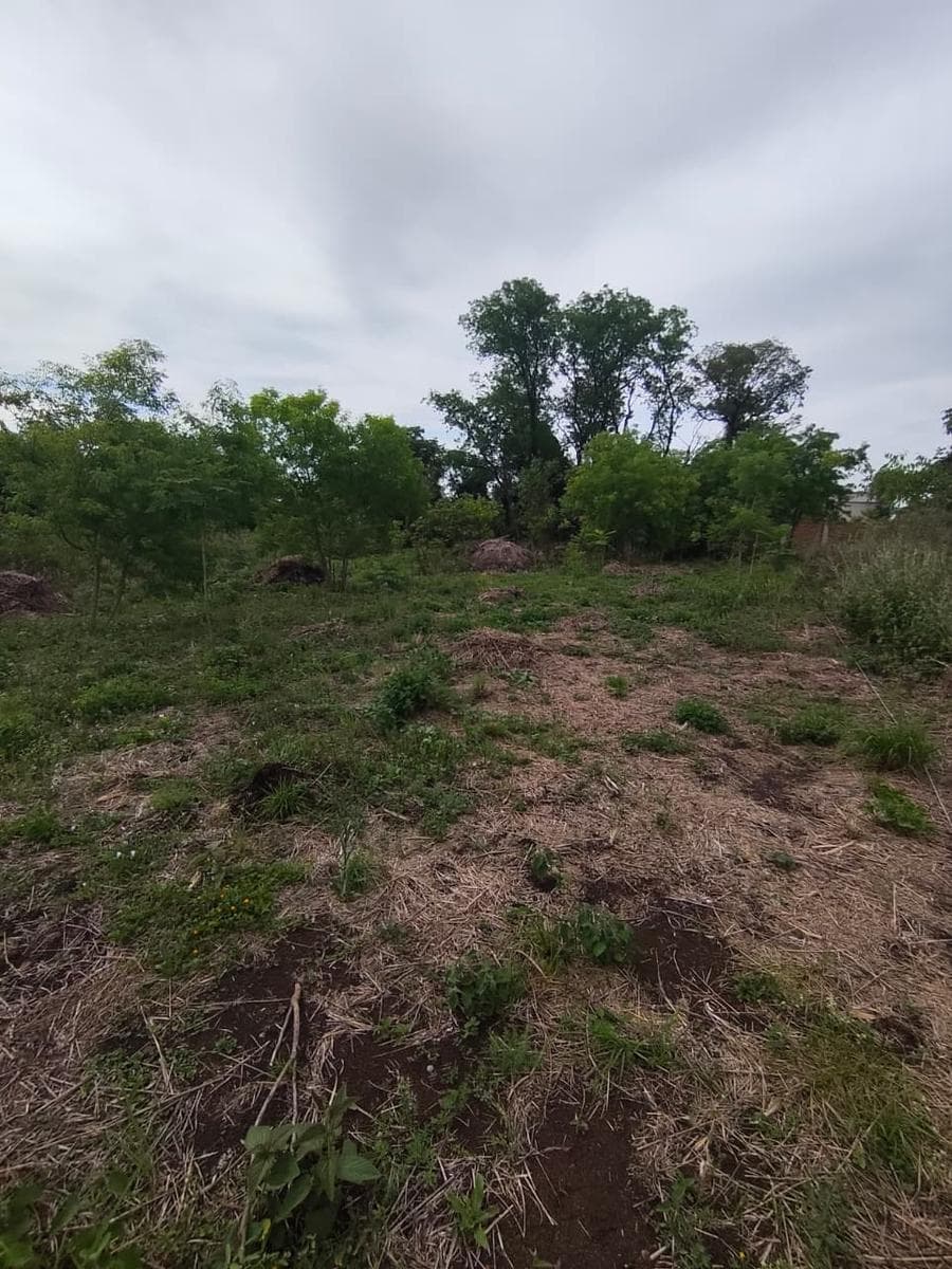 TERRENO A 200M DE LA RUTA NACIONAL N12 EN GARUPA MISIONES CON 1000M2 - 1