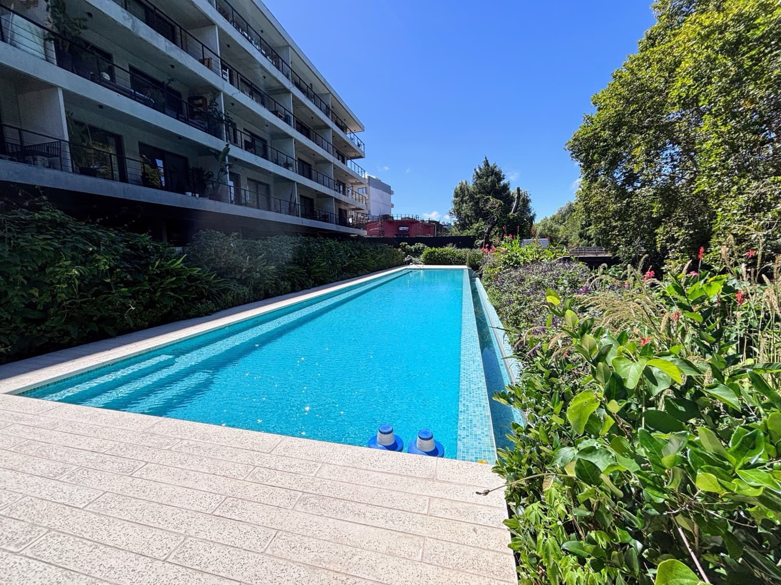 DEPARTAMENTO ALQUILER 2 AMBIENTES COCHERA AMENITIES - 1