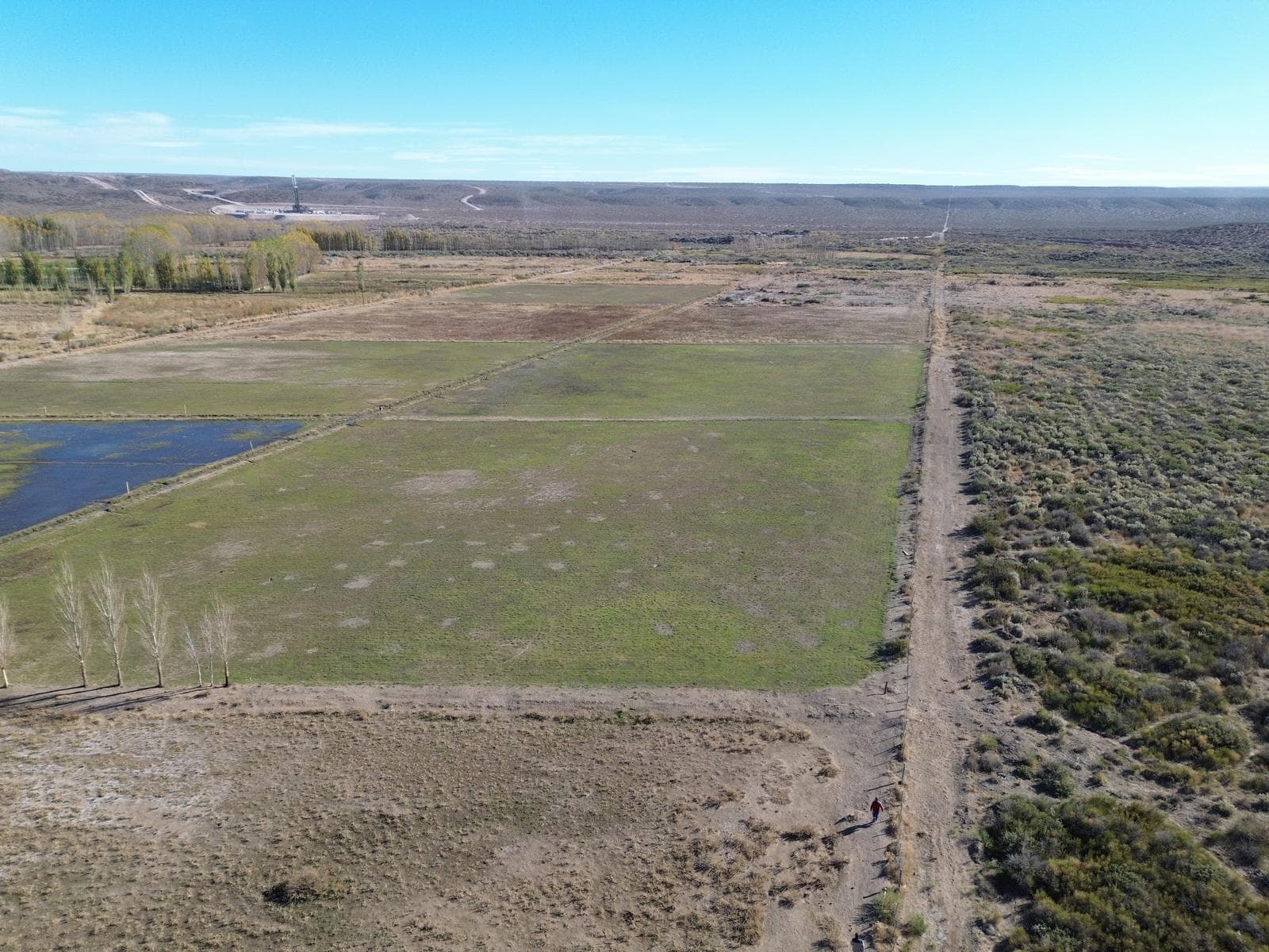 VENTA 225 HA AÑELO - NEUQUEN - 1