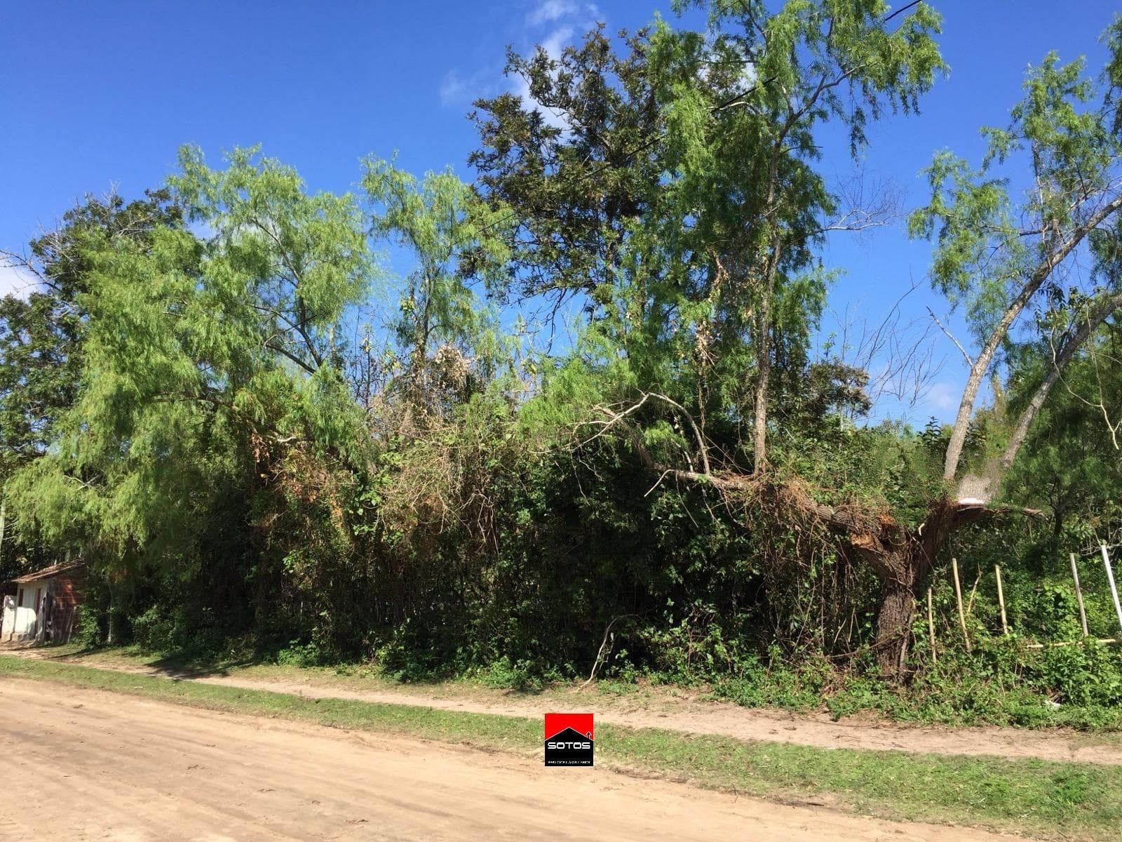 Terreno en Concepcion - 1