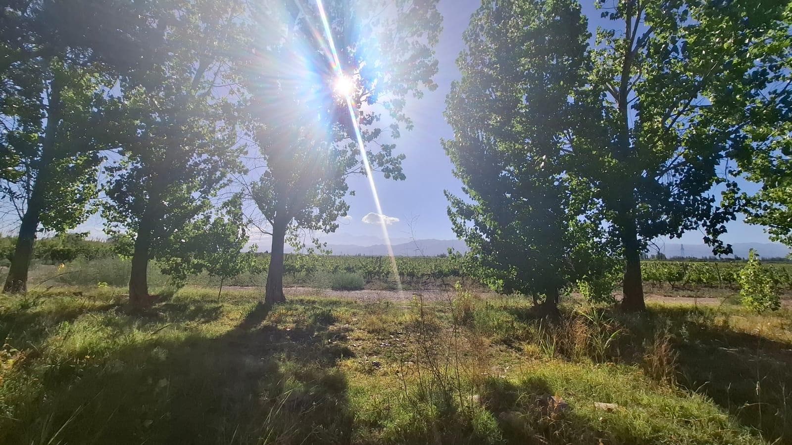 Terreno en Lunlunta - 1