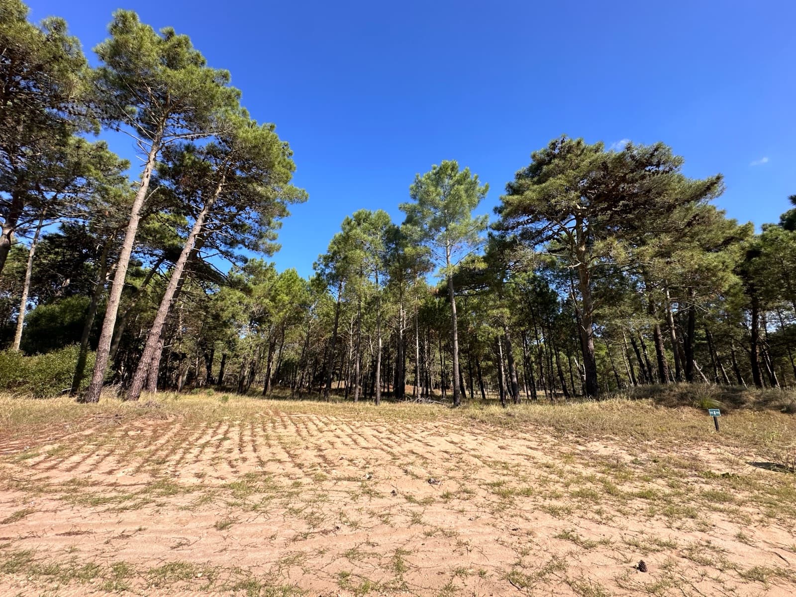 Terreno en barrio "Bosques" Pinamar - 1