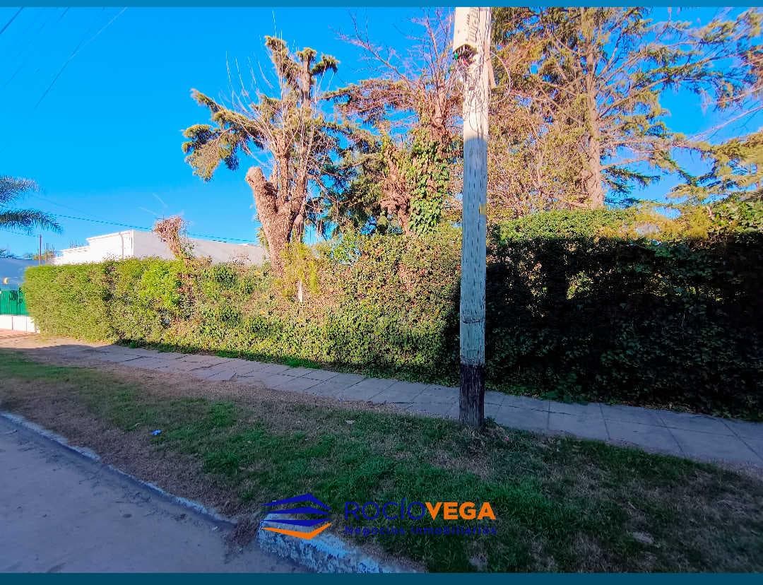 Lote Terreno en Venta en General Rodriguez Centro - 1
