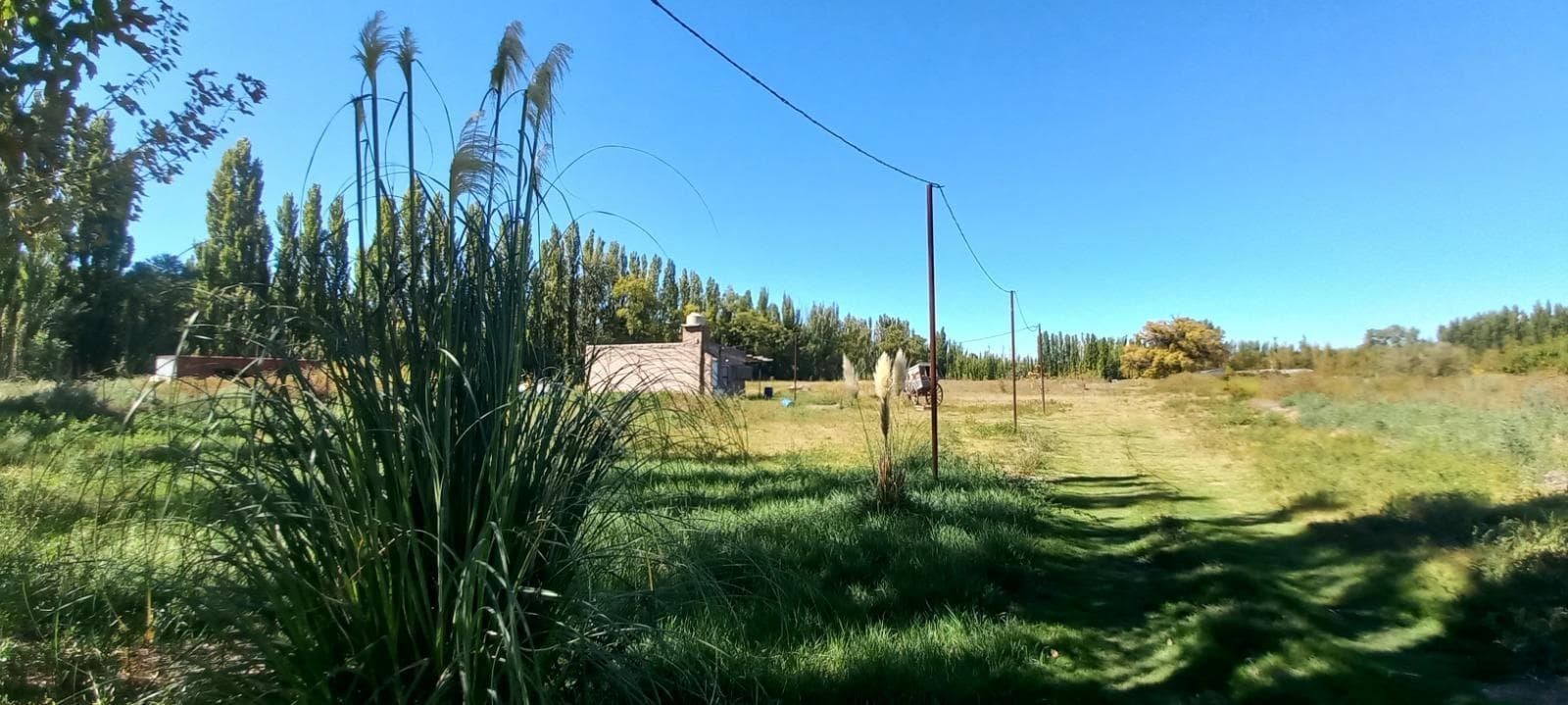 Terreno 3 hectáreas en Cinco Saltos - 1