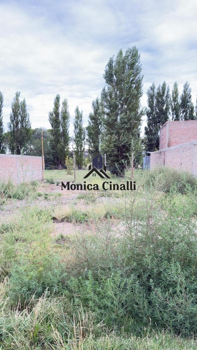 Departamento en Villa Regina - 1