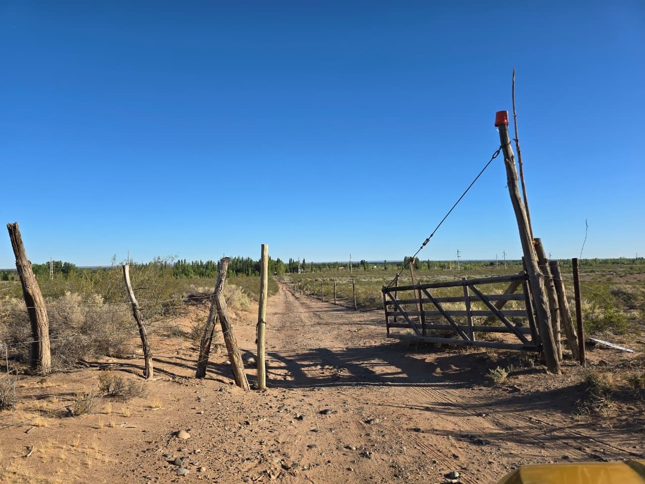 Venta 12,95 Hectáreas en Plottier. - 1