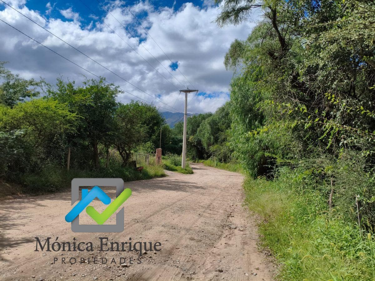 Venta de Terreno en Carpinteria San Luis - 1