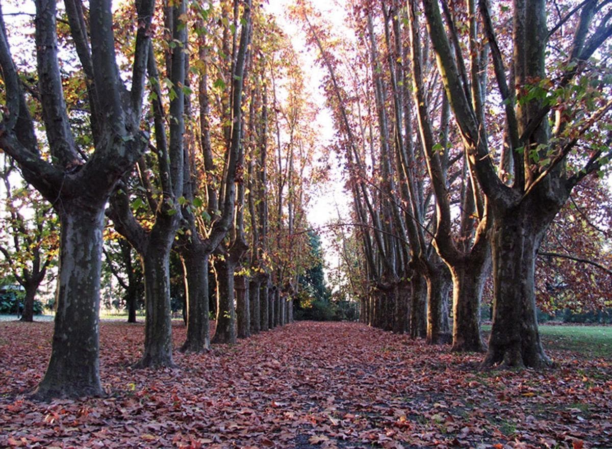 TERRENO/LOTE VENTA EN AZAHARES DEL PARANA 1200 m2 - 1