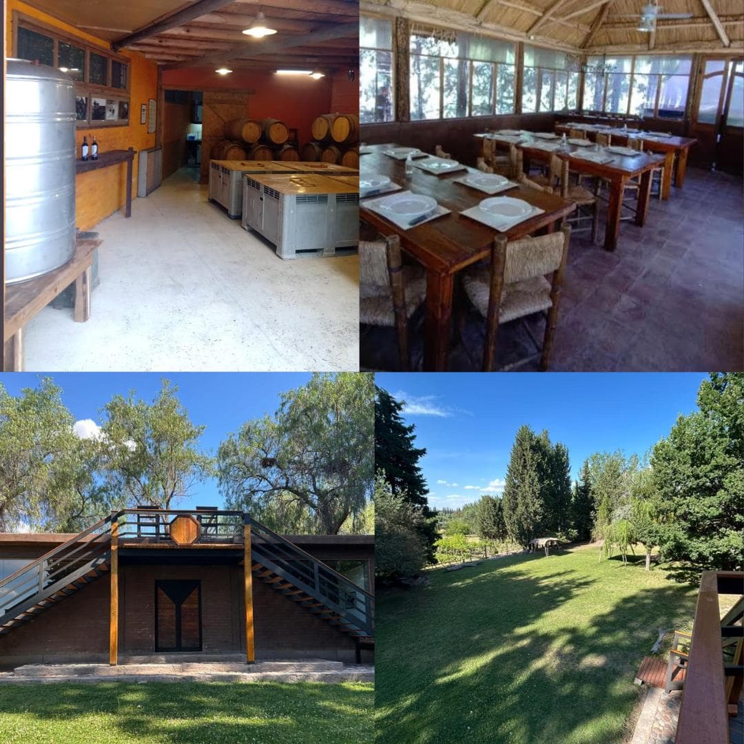 Bodega artesanal en Perdriel, quincho, casa, viña, paisaje extraordinario y relax - 1