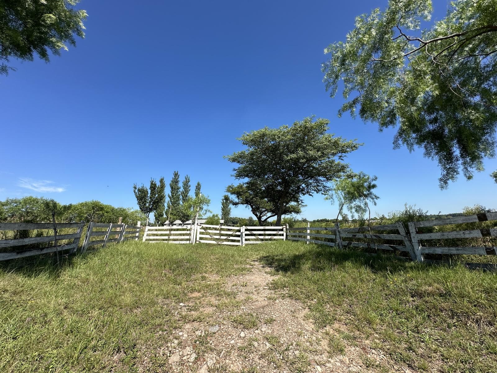 Campo en Villa San Jose - 1