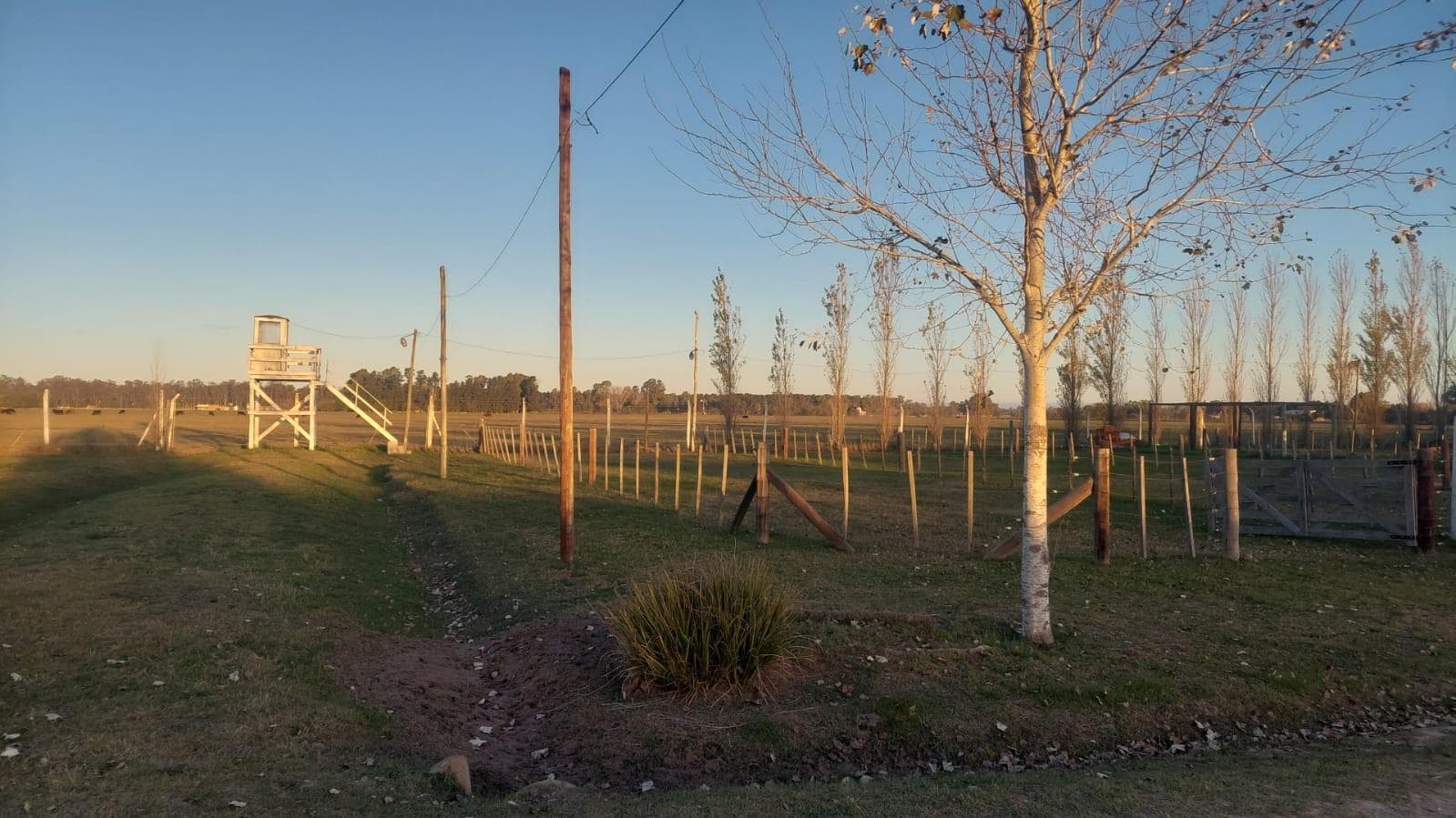 Venta o Permuta Lote - Domselaar Chico - Partido de San Vicente - 1