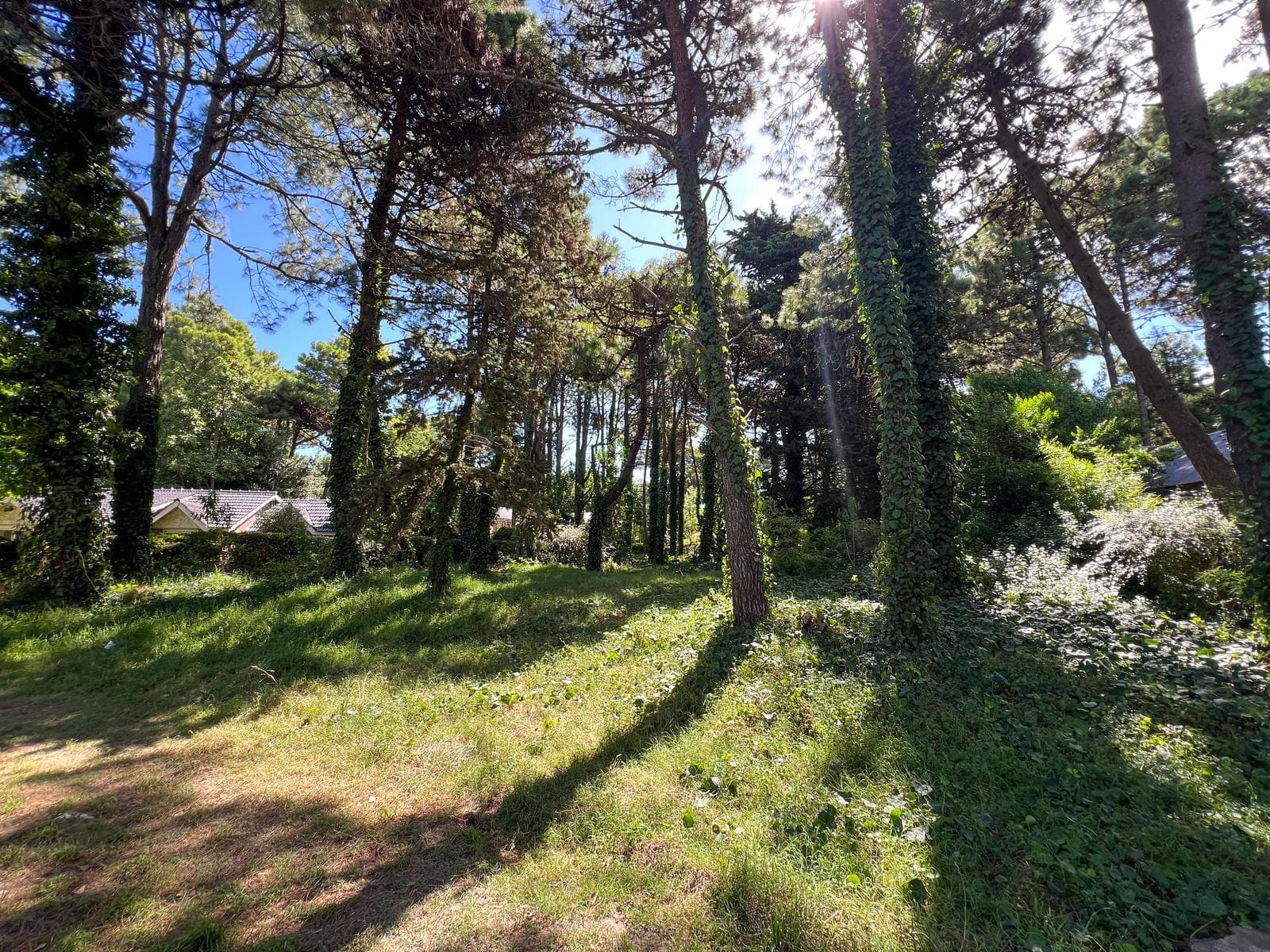 LOTE EN VENTA EN PINAMAR - 1