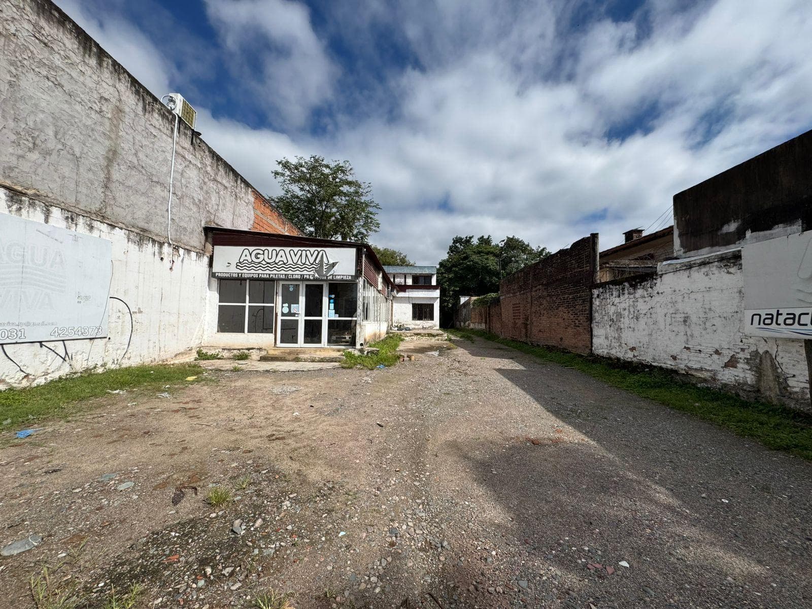 Local en alquiler Av. Solano Vera y La Paz - 1