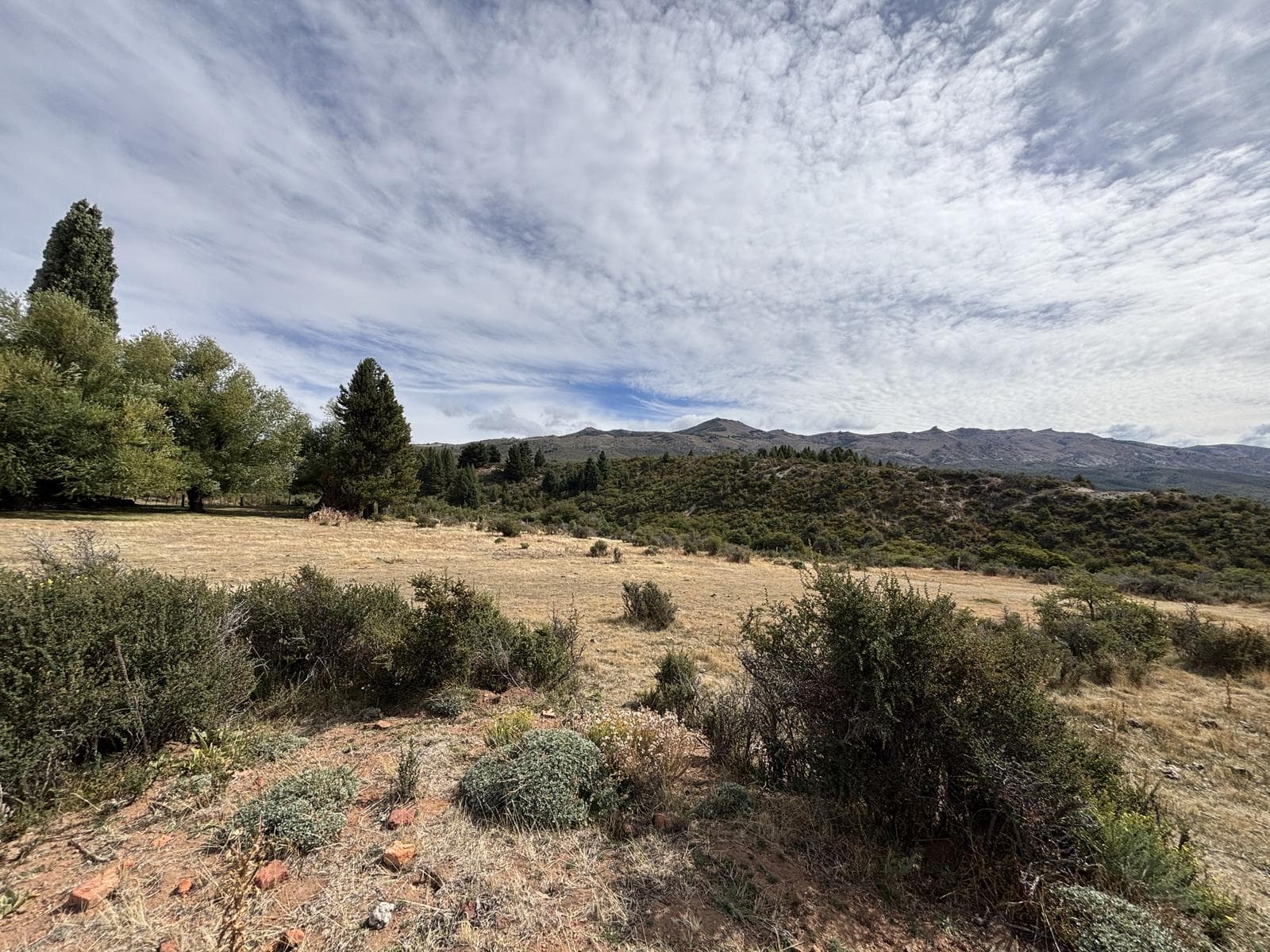 Campo en Arroyo del Medio - 1