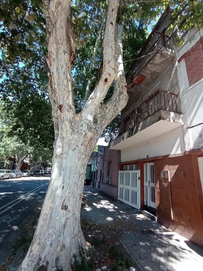 Terreno - Arroyito- Pozo - Construccion - Esquina - 1