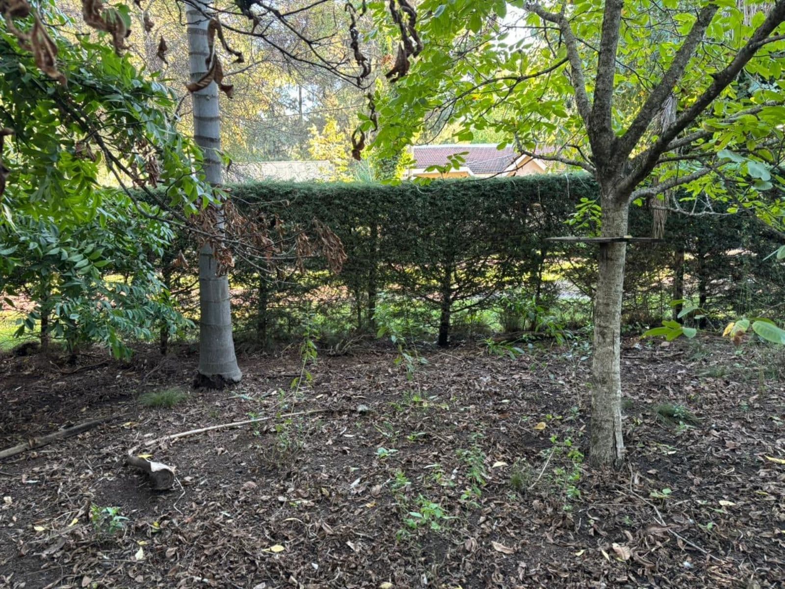 Terreno - Loma Verde - 1