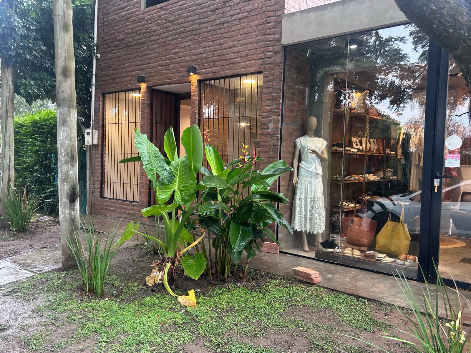 Local - Yerba Buena - 1