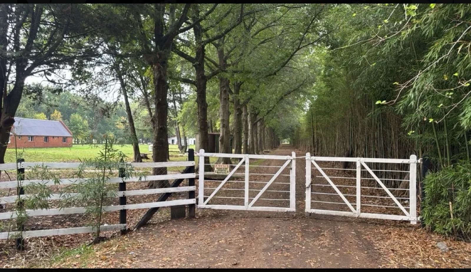 Campo - Los Cardales - 1