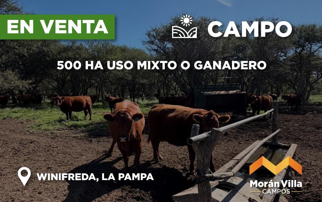 500 Ha en Winifreda - 1