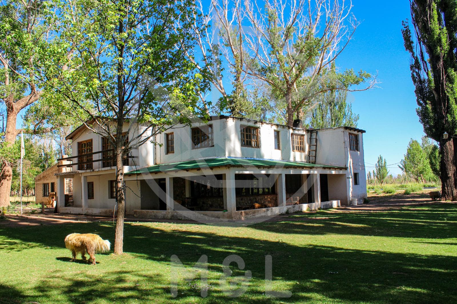 ESTANCIA URBANA EN MALARGÜE: CASA PATRONAL 8 HECTÁREAS (FRACCIONABLES) - 1