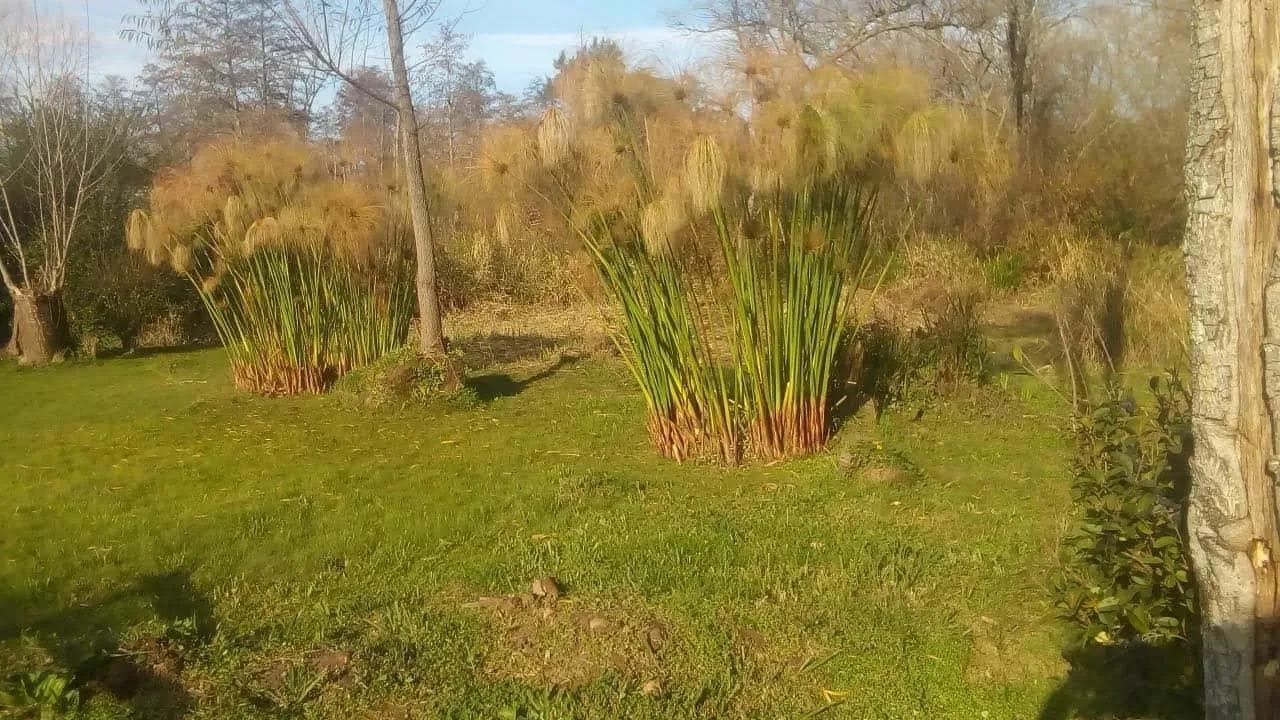 Casa en venta - 2 Dormitorios 1 Baño - Tigre - 1