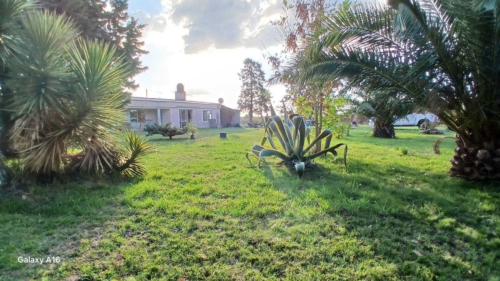 Chacra - Gualeguaychu - 1