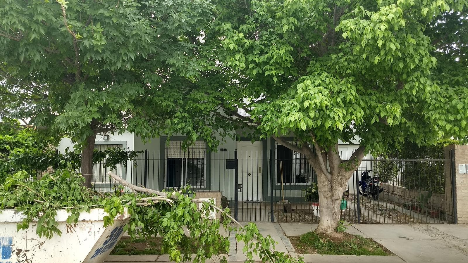 PH en Cipolletti - 1