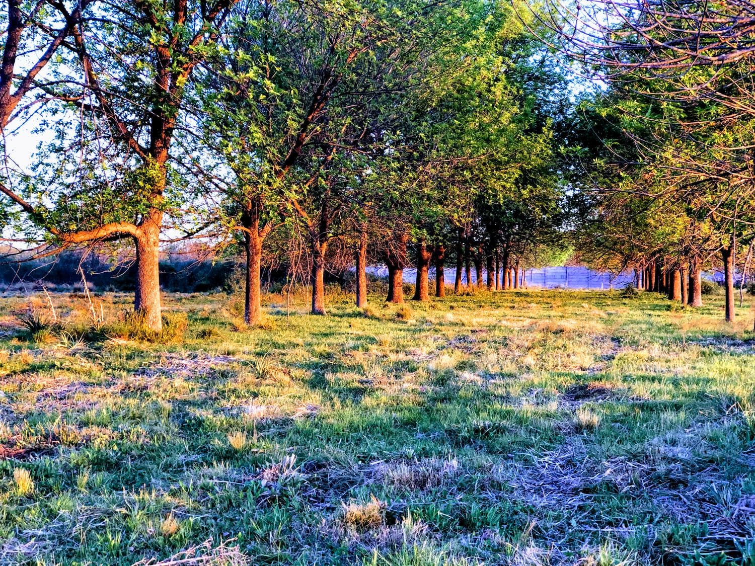 Lote en venta en EL PASO. Orientación Oeste - 1