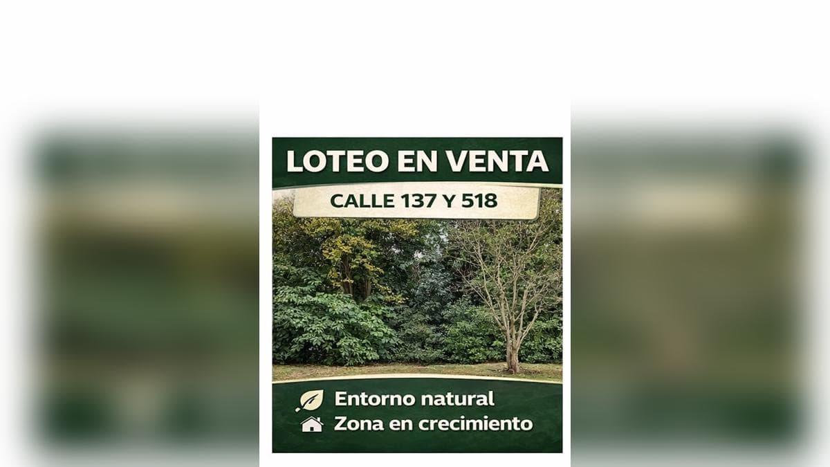 Terreno en San Carlos - 1