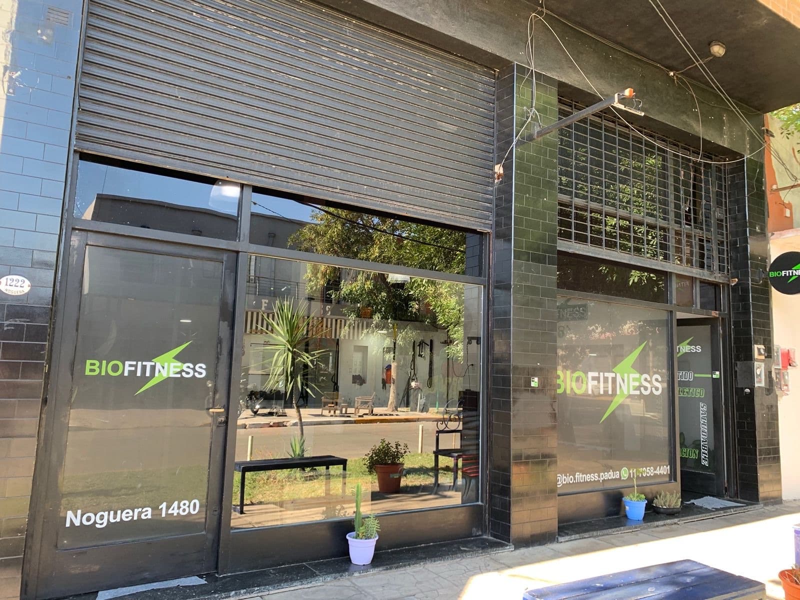 Local en Alquiler en calle Noguera de San Antonio de Padua - 1