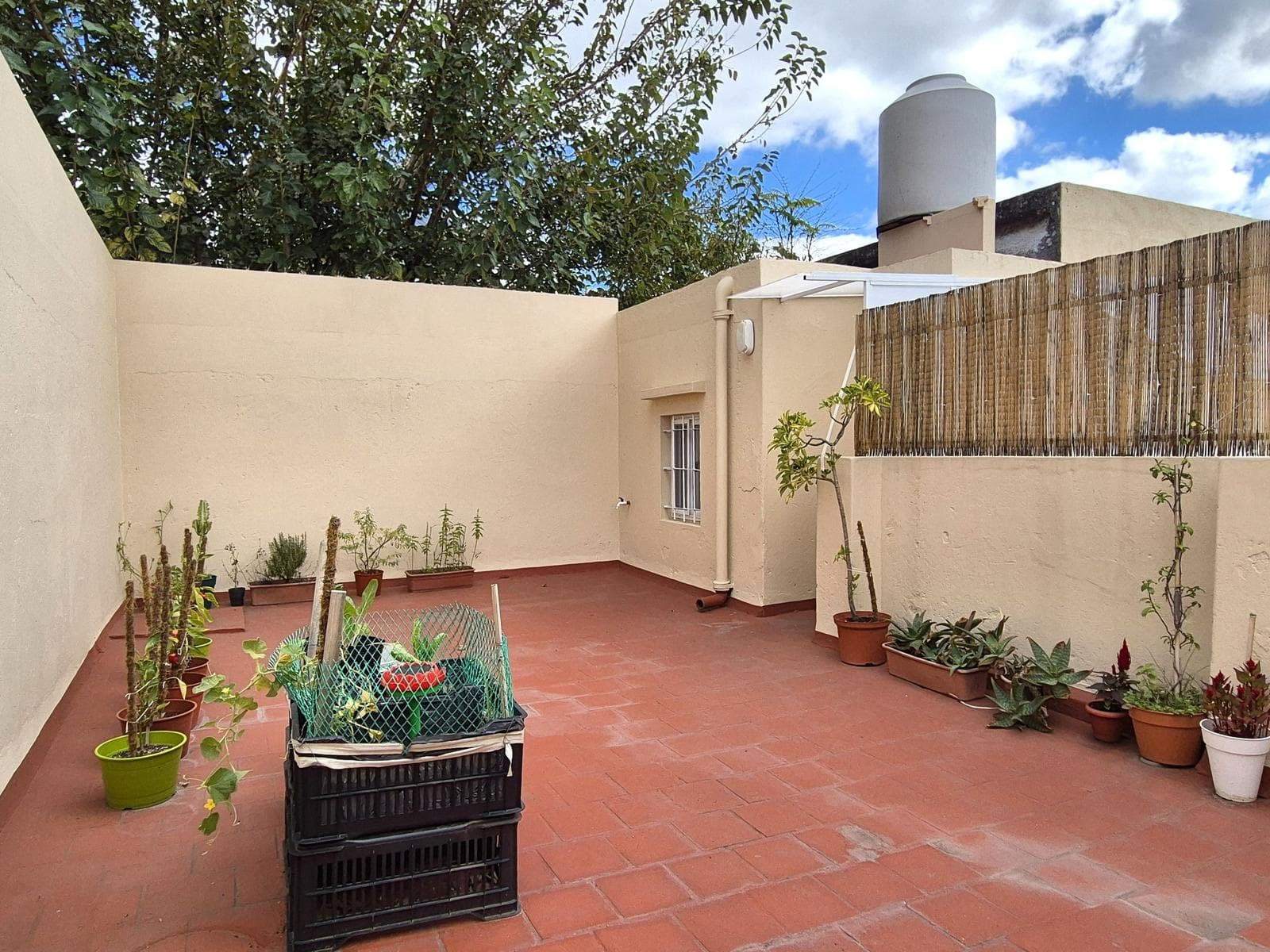 Venta PH 3 ambientes con terraza en Devoto - 1